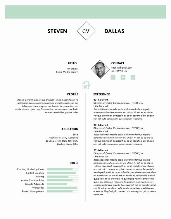 1 Page Resume Template Luxury 41 E Page Resume Templates Free Samples Examples
