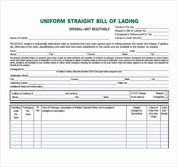 Bill Of Lading Sample Inspirational Sample Bill Of Lading 5 Documents In Pdf