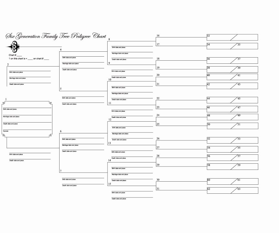 Blank Family Tree Chart Awesome 50 Free Family Tree Templates Word Excel Pdf