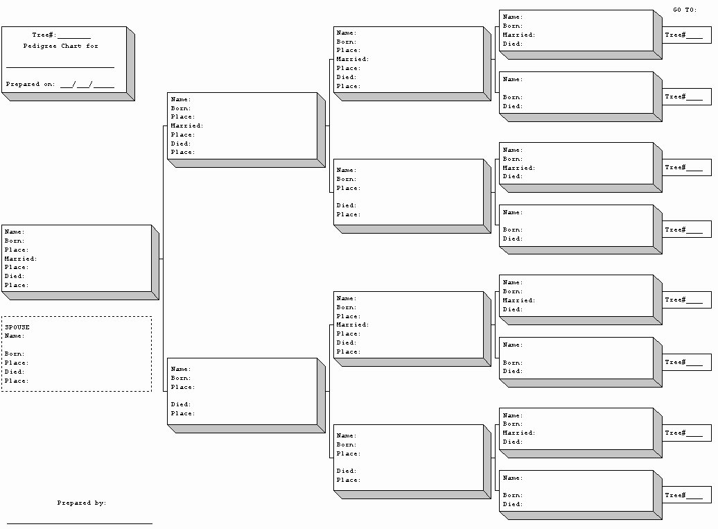 Blank Family Tree Chart Awesome Blank Family Tree Template