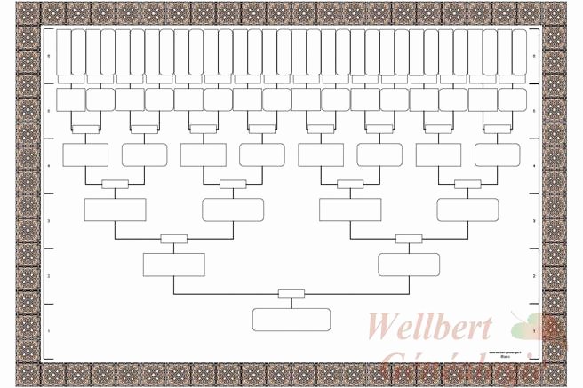 Blank Family Tree Chart Elegant 21 Blank Family Tree Templates Free Download