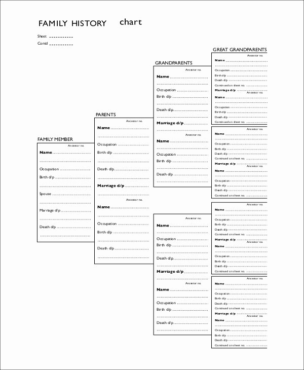 Blank Family Tree Chart Lovely Sample Blank Family Tree 8 Examples In Word Pdf