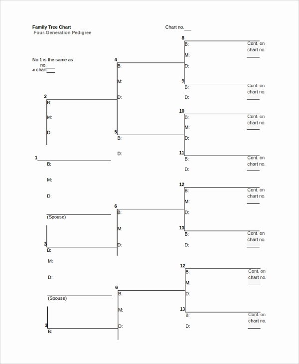 Blank Family Tree Chart Lovely Sample Family Tree Chart Template 17 Documents In Pdf