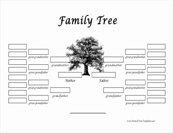 Blank Family Tree Chart Luxury 35 Family Tree Templates Word Pdf Psd Apple Pages