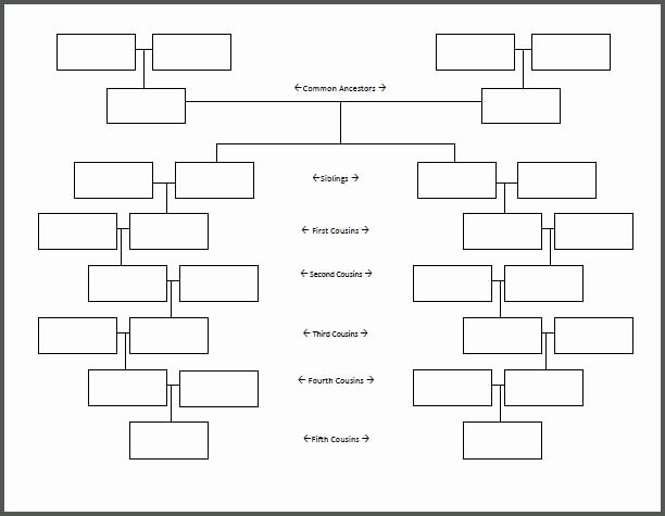 Blank Family Tree Chart Luxury Working Chart 1 Metre Genealogy Ancestry Info