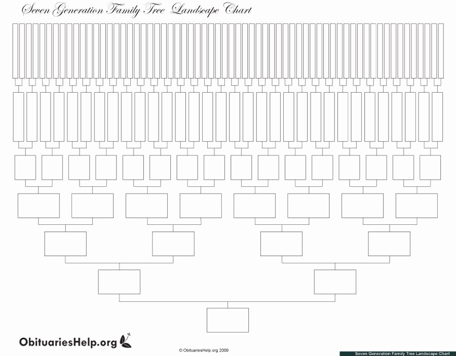 Blank Family Tree Chart Unique 50 Free Family Tree Templates Word Excel Pdf
