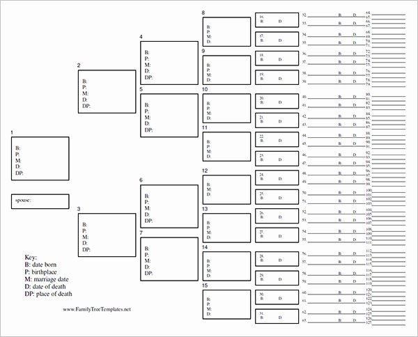 Blank Family Tree Template Fresh Blank Family Tree Chart 6 Free Excel Word Documents