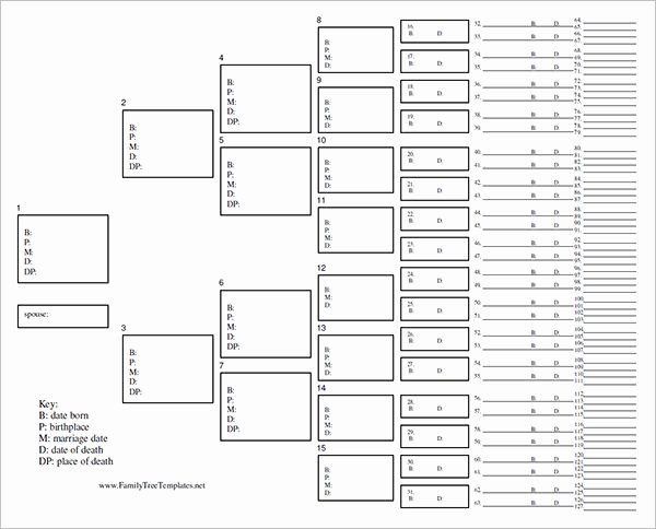 Blank Family Tree Template Unique Blank Family Tree Template 31 Free Word Pdf Documents