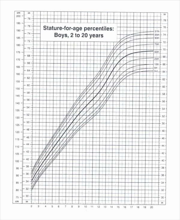 Blood Pressure Chart Pdf Beautiful Blood Pressure Chart Template 4 Free Word Pdf Document
