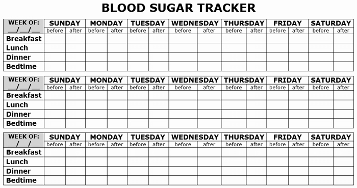 Blood Sugar Log Excel Beautiful 5 Free Printable Blood Sugar Log Templates