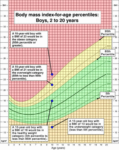 Boys Height Weight Chart Fresh About Child &amp; Teen Bmi Healthy Weight