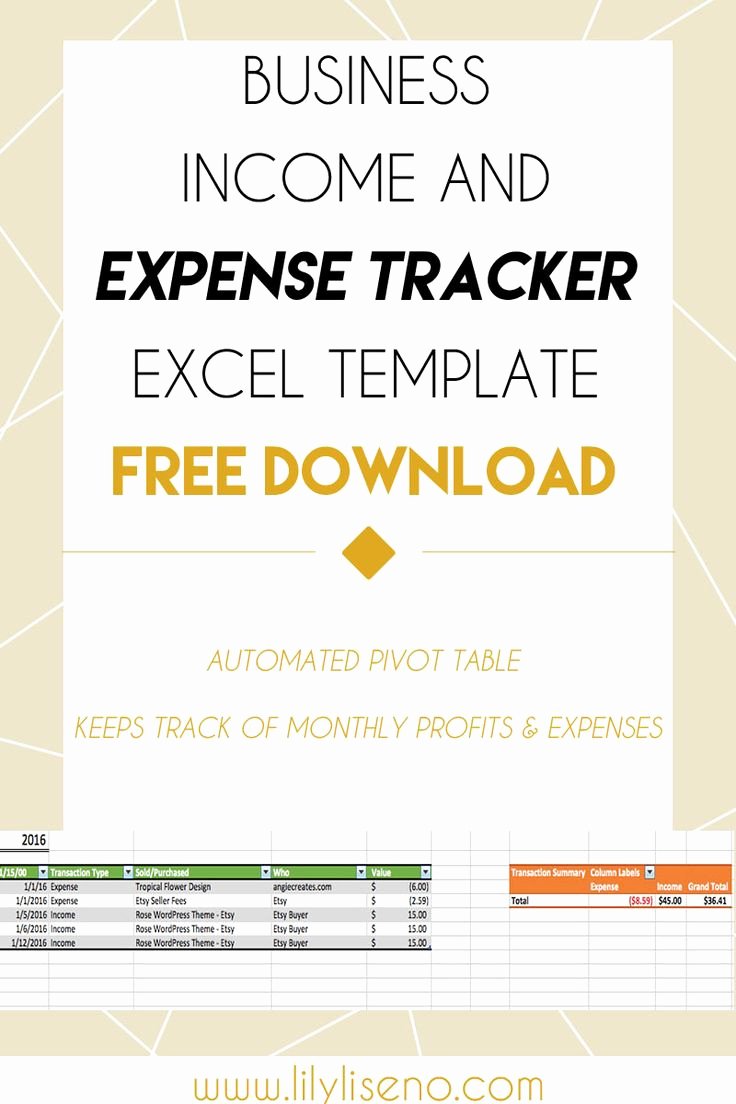 Business Plan Template Excel Luxury In E and Expense Tracker Excel Template Free Download