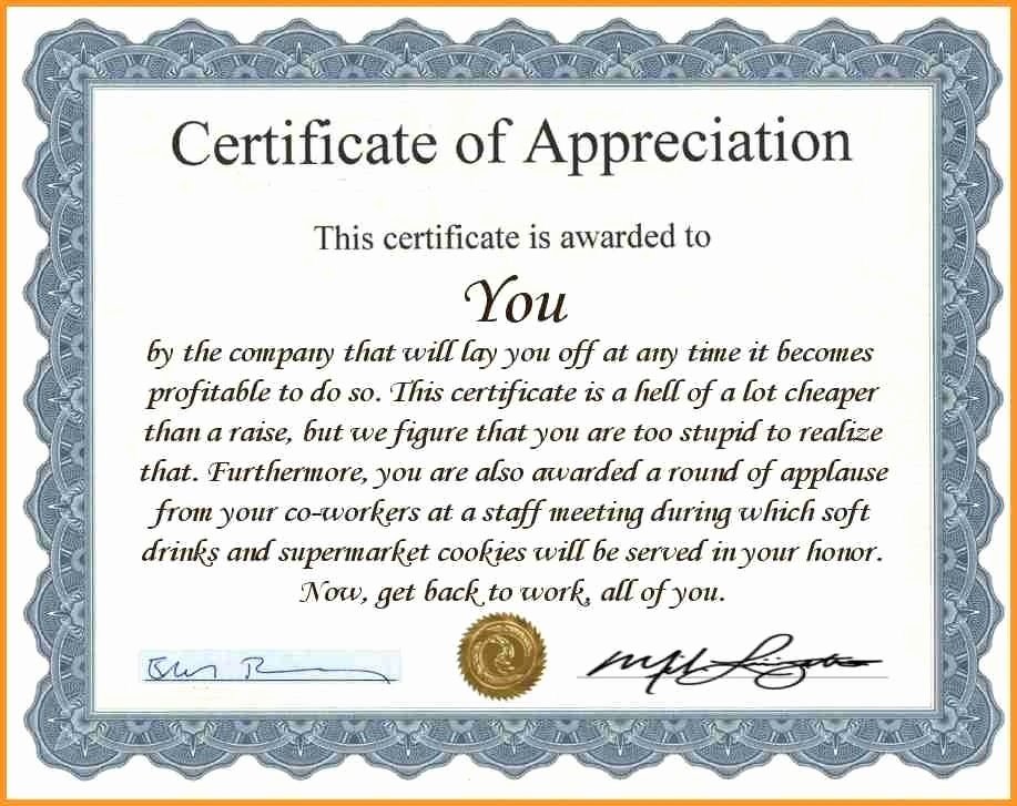 Certificate Of Appreciation Wording Awesome Certificate Appreciation Employee