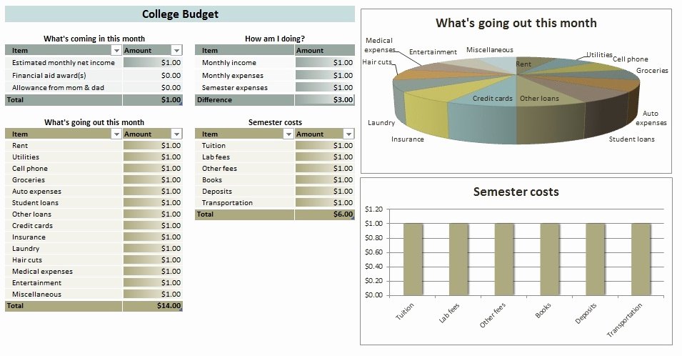 College Student Budget Template Awesome College Student Bud Template Sample