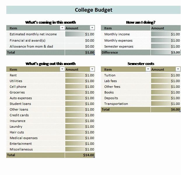 College Student Budget Template Luxury College Student Bud Templates Fice