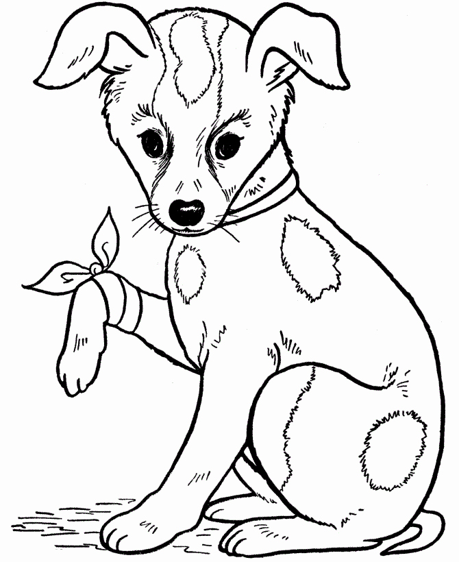 Coloring Pages Of Puppies Awesome Free Printable Dog Coloring Pages for Kids