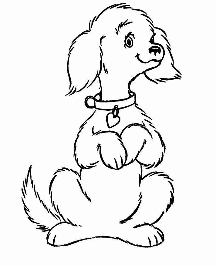 Coloring Pages Of Puppies Best Of Free Printable Dog Coloring Pages for Kids
