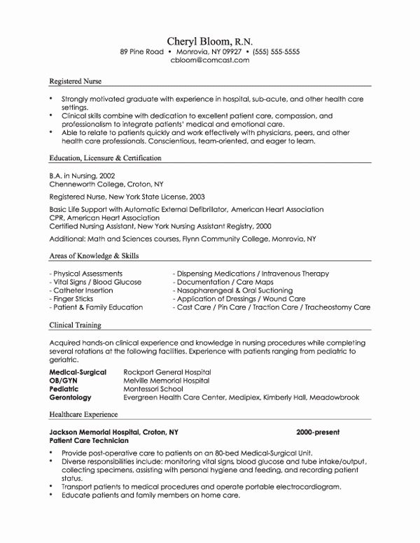 Combination Resume Template Word Beautiful the Newest Bination Resume Examples