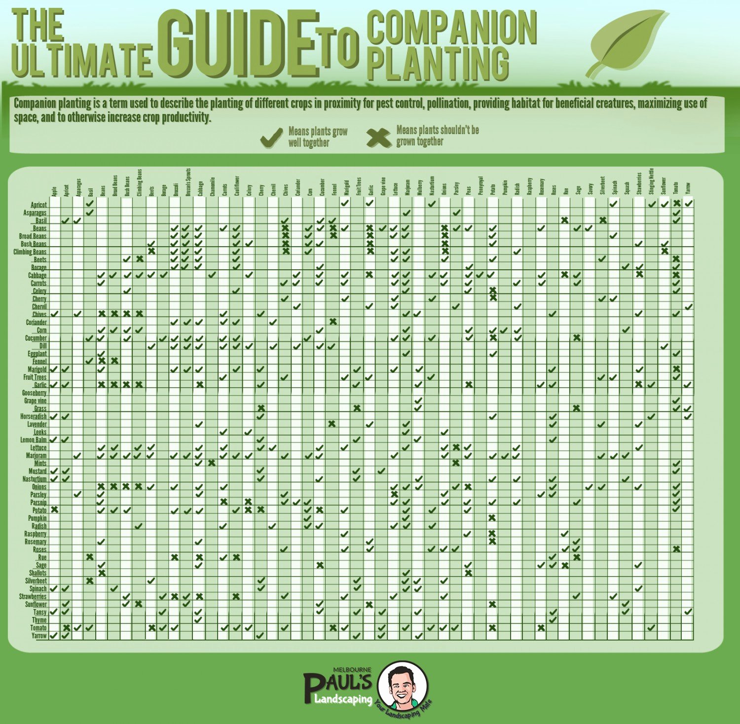 Companion Planting Chart for Vegetables New the Ultimate Guide to Panion Planting