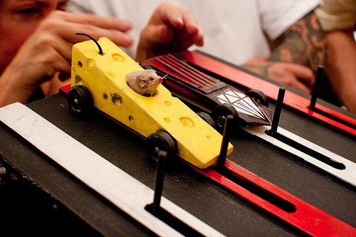 Cool Pinewood Derby Cars Beautiful Cool Easy Woodworking Ideas for Cub Scouts Do It Bro