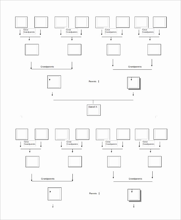 Editable Family Tree Template Lovely Sample Blank Family Tree Template 8 Free Documents