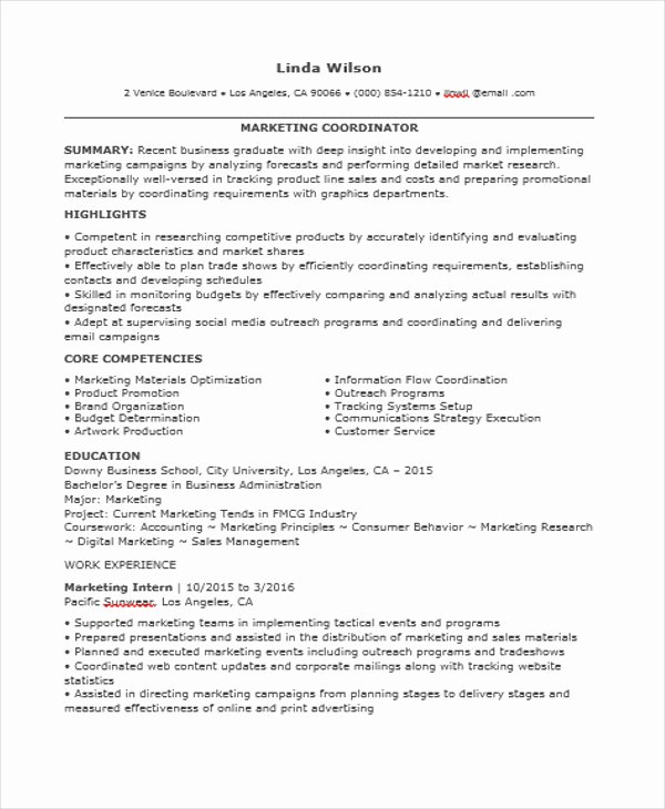 Entry Level Marketing Resume Lovely 30 Professional Marketing Resume Templates Pdf Doc