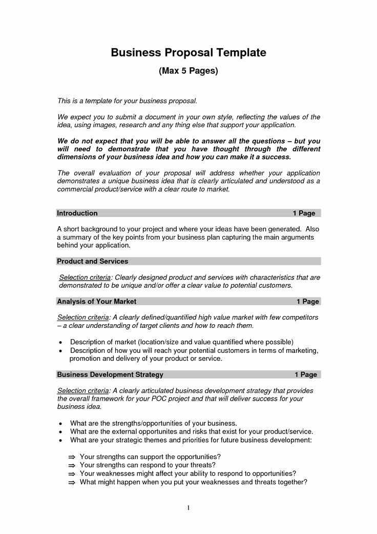 Examples Of Business Proposals New Printable Sample Business Proposal form