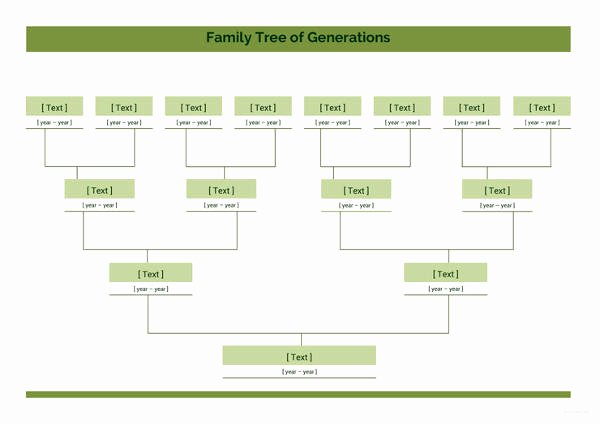 Excel Family Tree Template Fresh Simple Family Tree Template 27 Free Word Excel Pdf