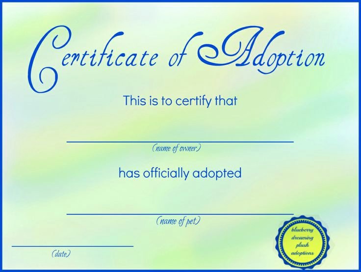 Fake Birth Certificate Maker Beautiful 42 Best Adoption Certificate Templates Images On Pinterest