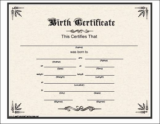 Fake Birth Certificate Maker Inspirational A Basic Printable Birth Certificate with An Elaborate