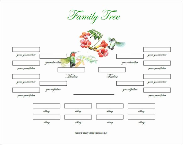 Family Tree Template Google Docs Unique Free 56 Family Tree Templates In Word Apple