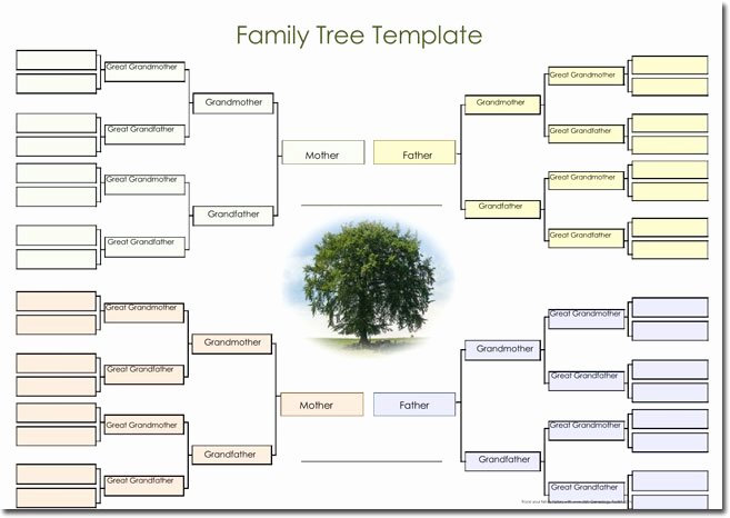 Family Tree Template Online Best Of 21 Genogram Templates Easily Create Family Charts