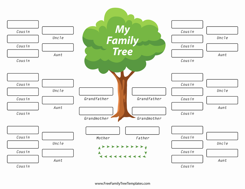 Family Tree Template with Siblings Best Of Family Tree with Aunts Uncles and Cousins Template – Free