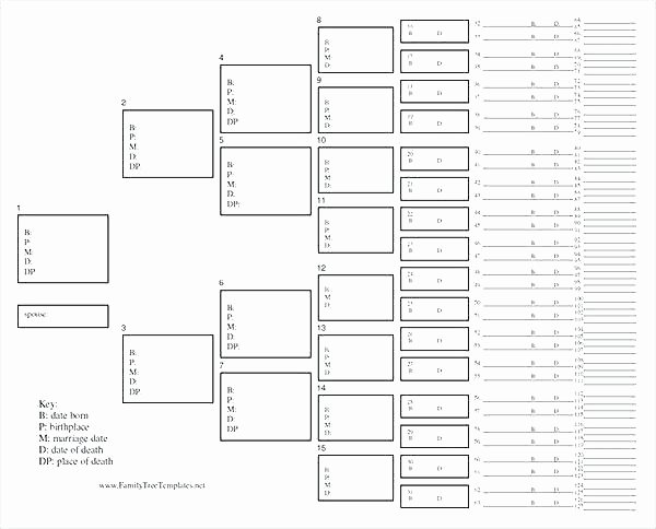 Family Tree Template with Siblings Inspirational Family Tree Template with Aunts and Uncles – thepostcode