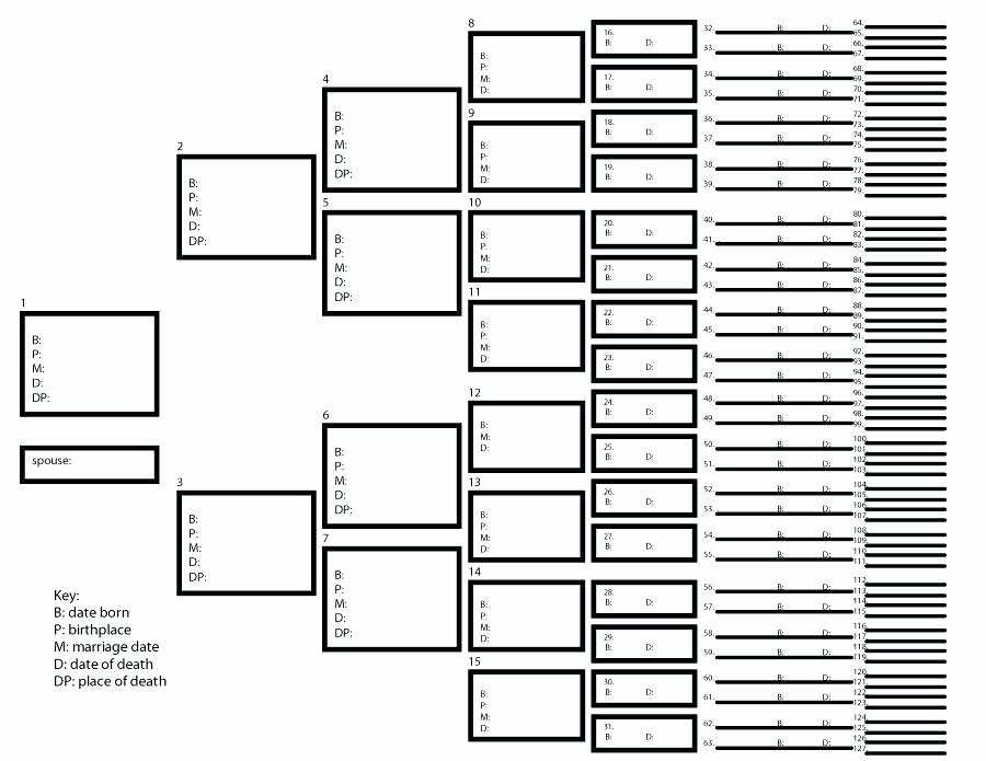 Family Tree Template with Siblings Lovely 12 13 Family Tree Spreadsheet Template