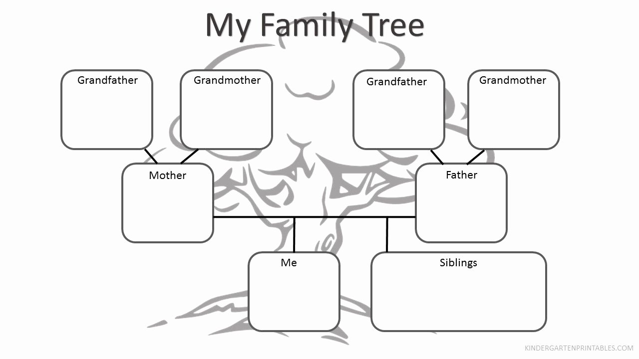 Family Tree Worksheet Printable Beautiful Free Printable Family Tree Worksheet Free Family Tree