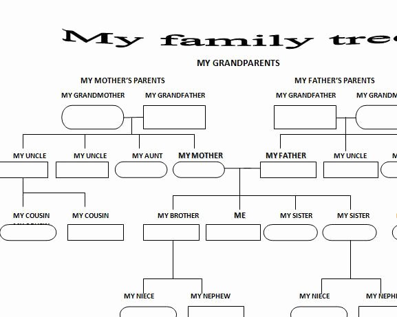 Family Tree Worksheet Printable Fresh Family Tree Worksheet Vocabulary Pinterest
