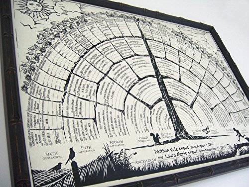 Fill In Family Tree Best Of Amazon Family Tree Chart Posters 2 Per order