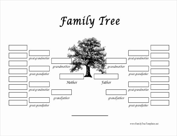 Fill In Family Tree Inspirational Family Tree Template 31 Free Printable Word Excel Pdf