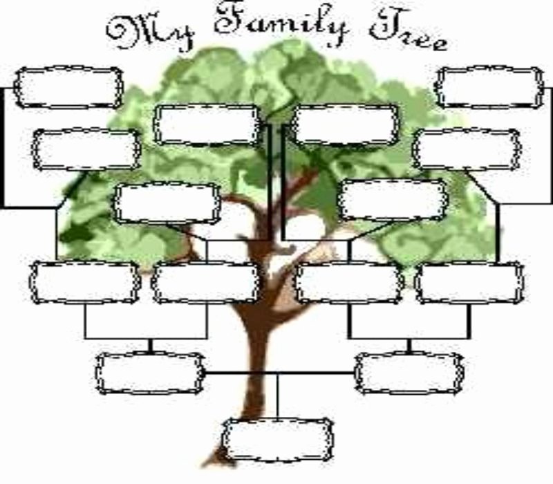 Fill In Family Tree Lovely Printable Blank Family Tree Family Tree