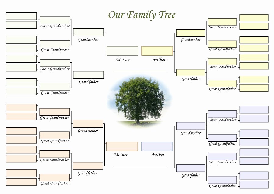 Free Family Tree Template Excel Beautiful 50 Free Family Tree Templates Word Excel Pdf