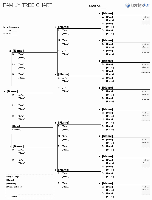Free Family Tree Template Word Best Of 12 Best Of Family Tree Pedigree Chart Worksheet 6