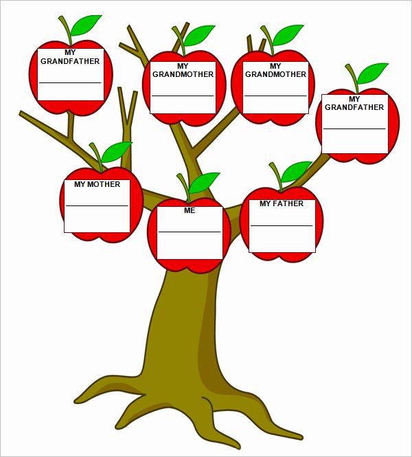 Free Family Tree Template Word Elegant Blank Family Tree Template – 31 Free Word Pdf Documents