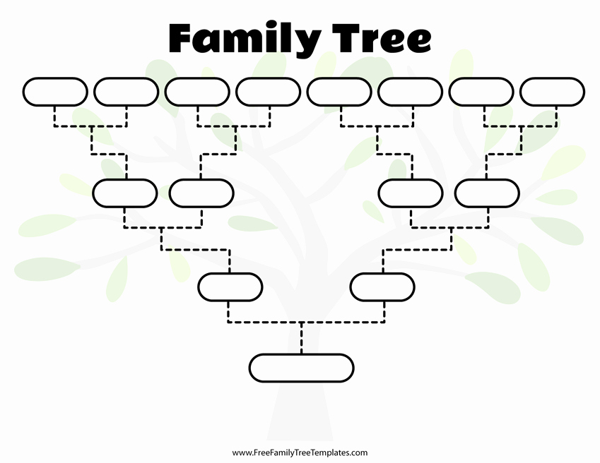 Free Family Tree Template Word Lovely Free Family Tree Templates for A Projects