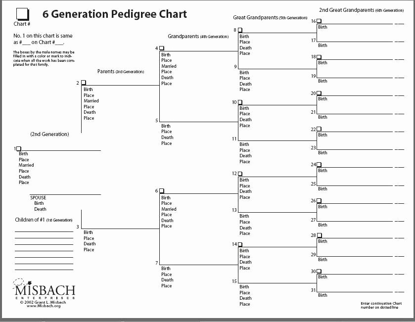 Free Family Tree Templates Awesome Ancestry Charts for Free to Print
