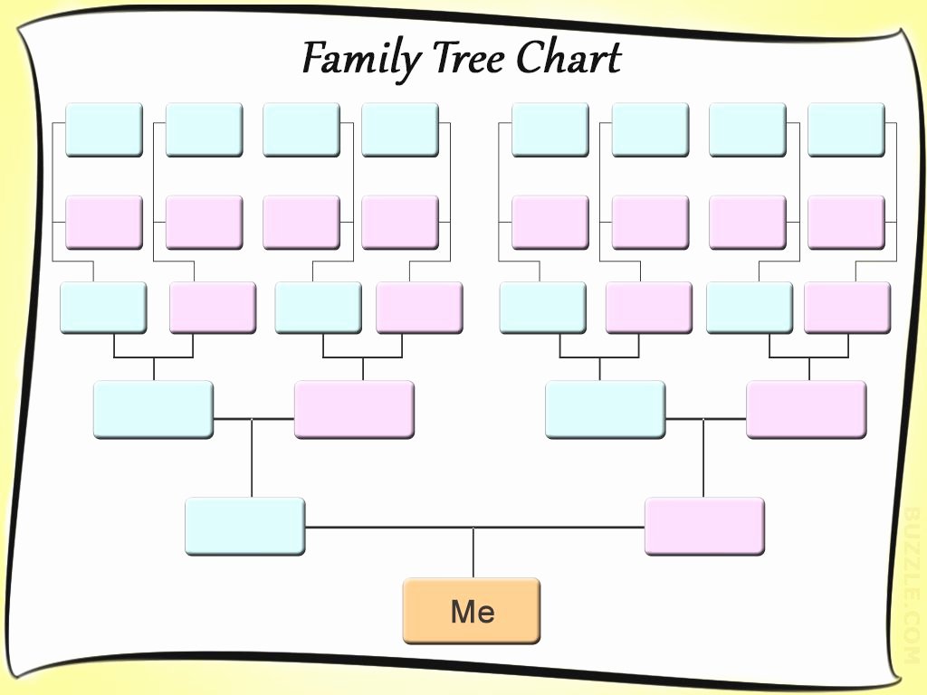 Free Family Tree Templates Awesome Free Editable Family Tree Template Daily Roabox