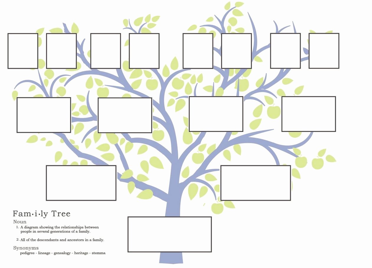 Free Family Tree Templates Beautiful Free Family Tree Template to Print Google Search