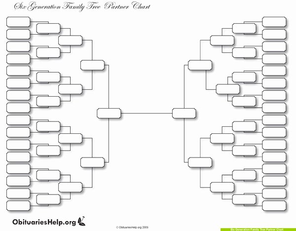Free Family Tree Templates Elegant why A Family Tree Template is the Perfect Gift