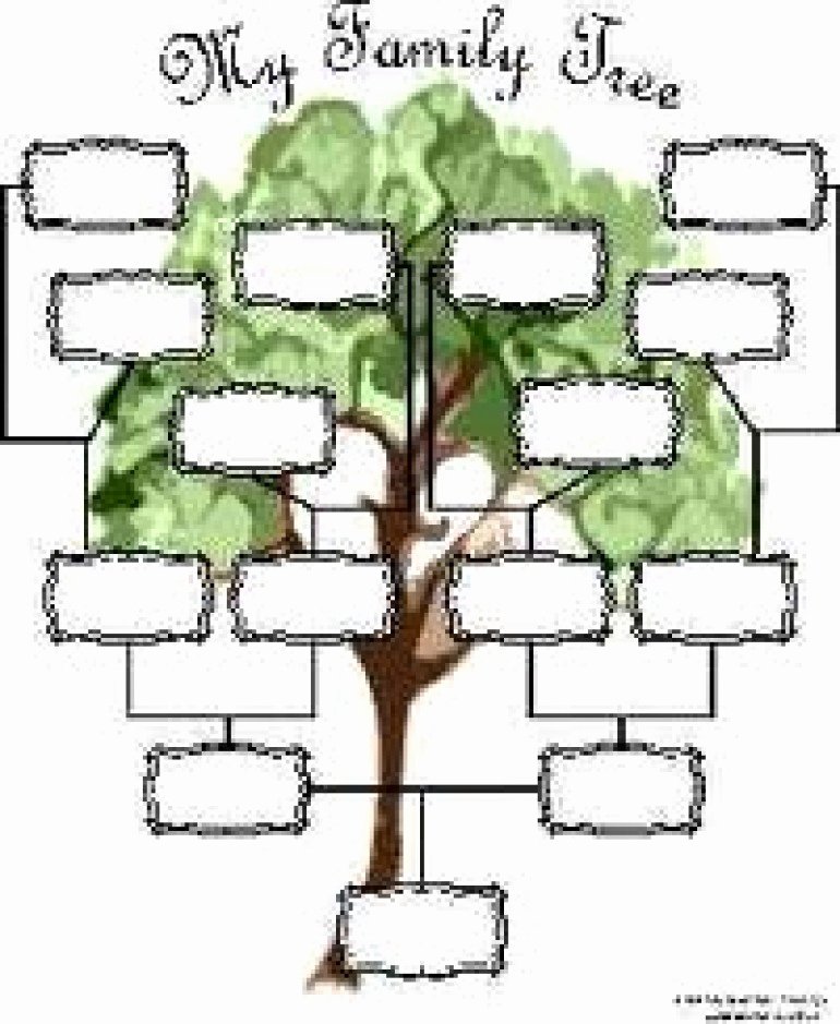 Free Family Tree Templates Fresh Reaper List Activity Sections Family Genealogy