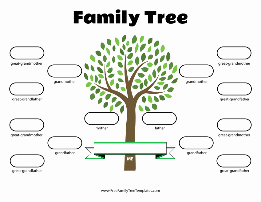 Free Family Tree Templates Inspirational 4 Generation Family Tree Template – Free Family Tree Templates